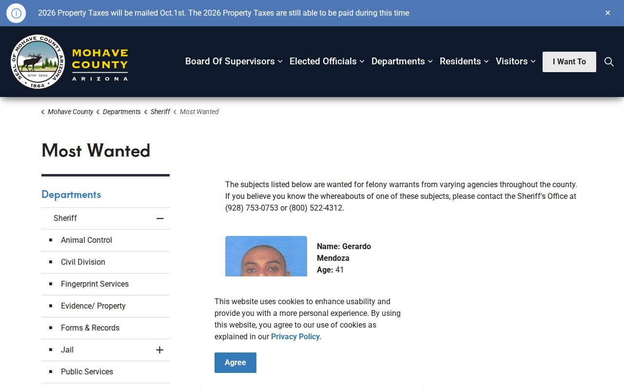 Mohave County Sheriff alleged felony arrest warrants source